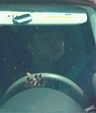 06.jpg