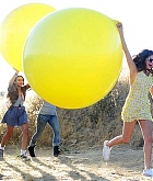 219.jpg