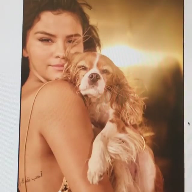 PANTENE_2019_Screen_Captures-05.jpg