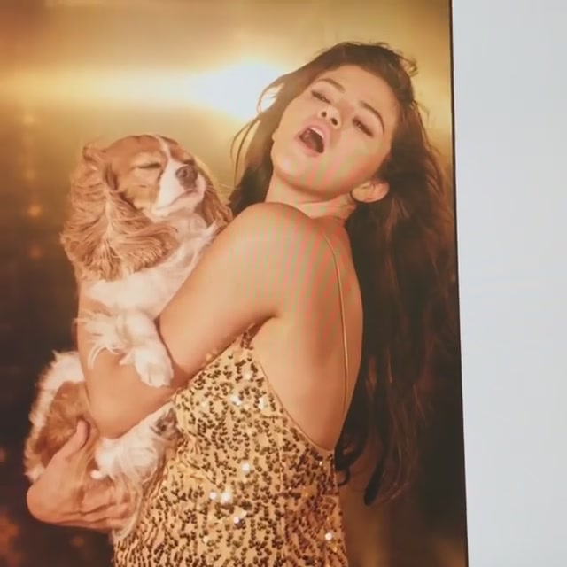 PANTENE_2019_Screen_Captures-15.jpg
