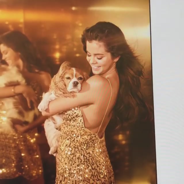 PANTENE_2019_Screen_Captures-17.jpg