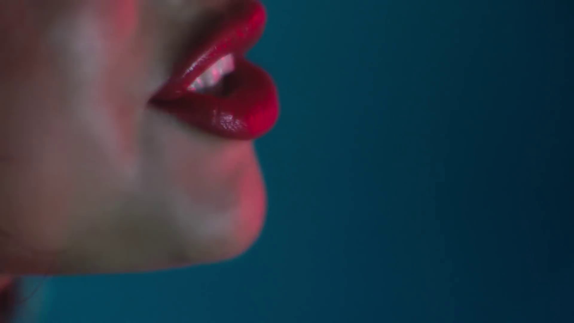 Wolves_MV-164.jpg