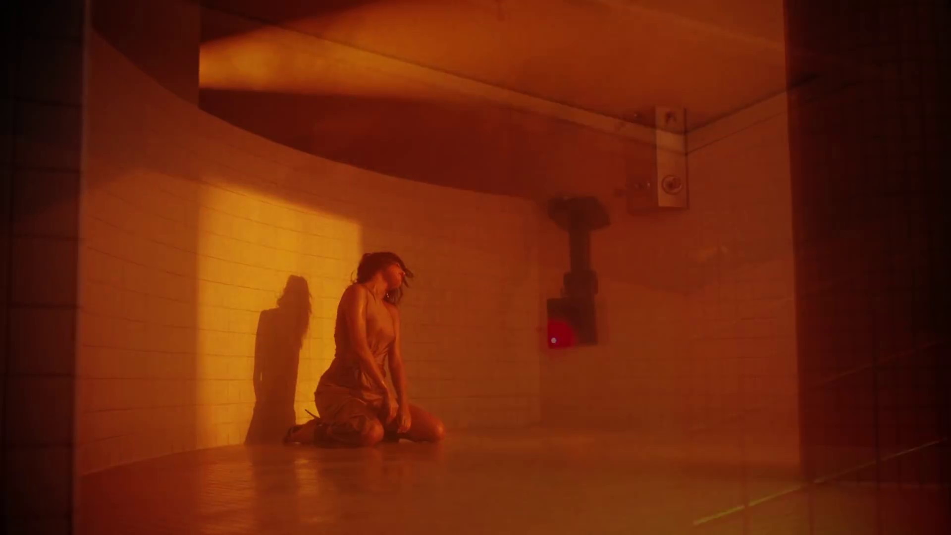 Wolves_MV-174.jpg