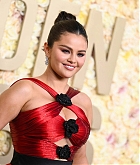 81st_Golden_Globe_Awards_-_Arrivals43.jpg