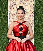 81st_Golden_Globe_Awards_-_Arrivals53.jpg