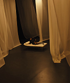 in_the_dark_2810329.png