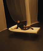 in_the_dark_2811029.png